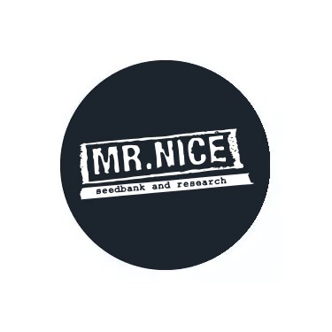 Mr. Nice Seeds au meilleur prix